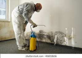 Biohazard Mold Removal in Corralitos, CA